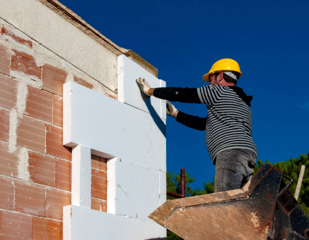 Best Insulation Inspection Services  in Chester, WV