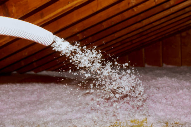 Best Insulation Removal  in Chester, WV