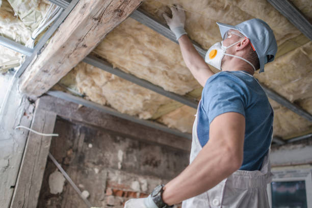 Best Attic Insulation Installation  in Chester, WV