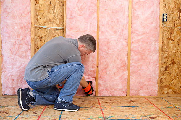 Best Insulation Contractors for Homes  in Chester, WV