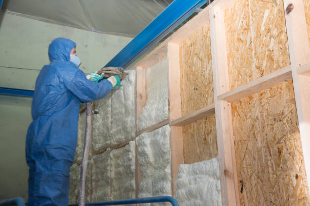 Insulation Repair Services in Chester, WV