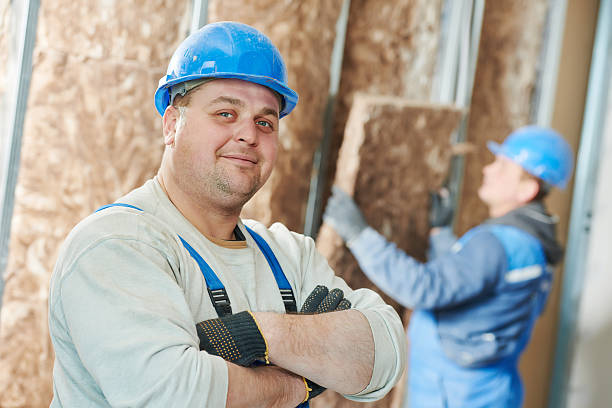 Best Home Insulation Services  in Chester, WV