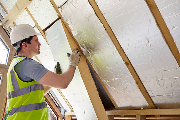 Best Insulation Removal  in Chester, WV